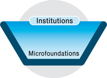 DFG Netzwerk "Micro-Foundations of Institutions"