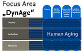 Disease in Human Aging: Dynamics at the Level of Molecules, Individuals, and Society  (DynAge)