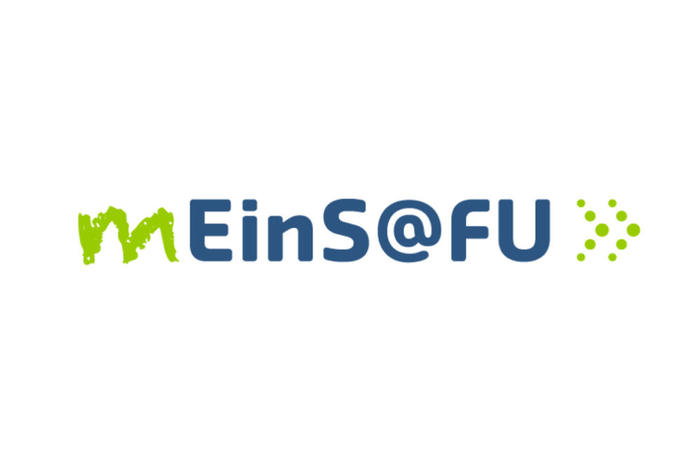 Eins_fu