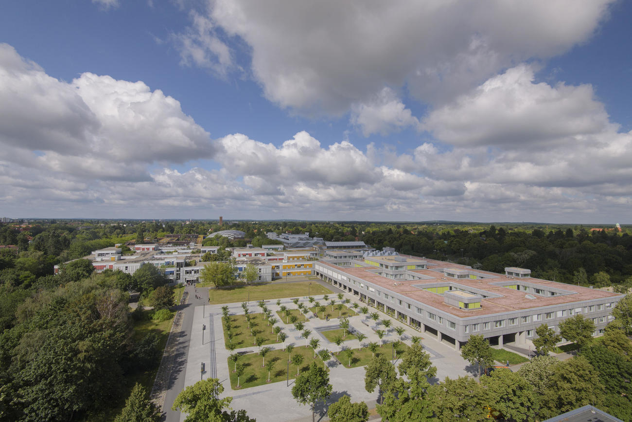 Management Marketing School Of Business Economics
