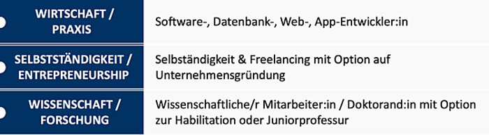 SoftwareEngineeringSäulen_Neu